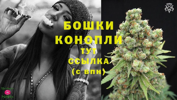 PSILOCYBIN Белоозёрский