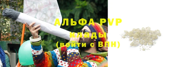 гидра Белокуриха