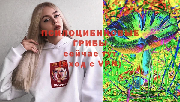 гидра Белокуриха