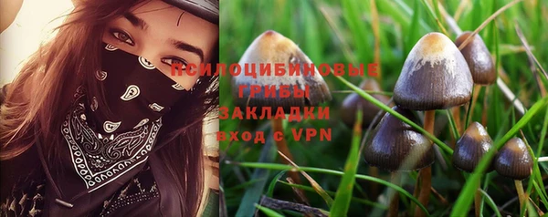 a pvp Беломорск
