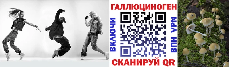 Галлюциногенные грибы Psilocybine cubensis  Нерехта 
