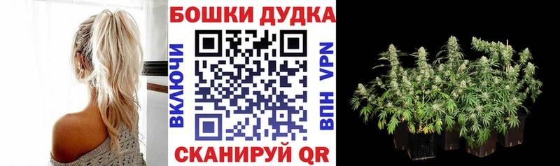 продажа наркотиков  Нерехта  Конопля AK-47 